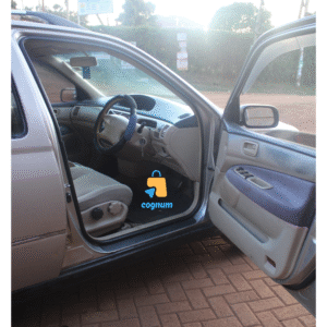 Drivers Door